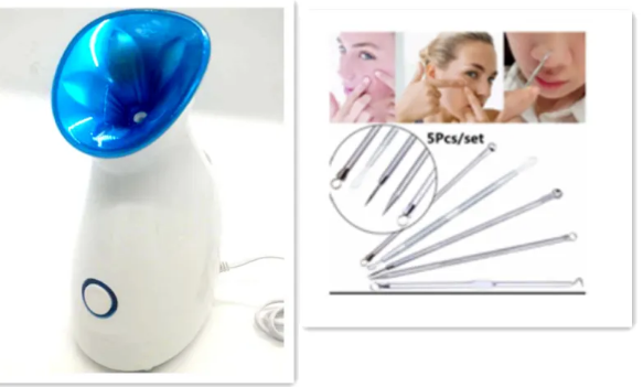 North Elara 3-in-1 Nano Ionic Facial Steamer